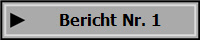 Bericht Nr. 1